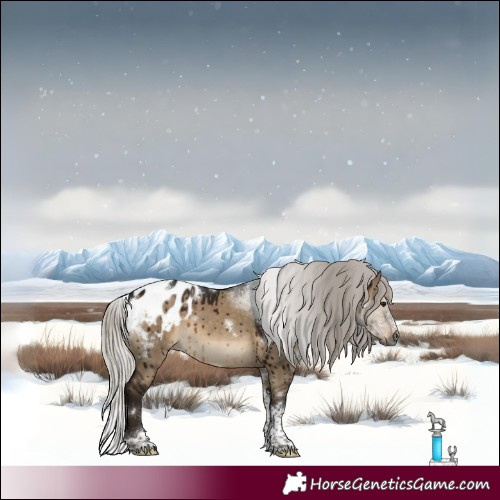 Horse Color:Gray White Spotted Silver Brown Dun Tobiano Frame Appaloosa Brindle 