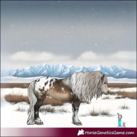 Horse Color:Gray White Spotted Silver Brown Dun Tobiano Frame Appaloosa Brindle 