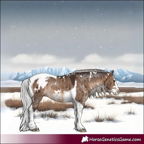Horse Color:White Spotted Silver Brown Dun Splash Tobiano Brindle 