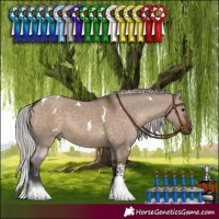 Horse Color:White Spotted Silver Brown Dun Tobiano 