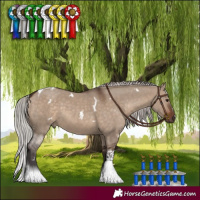 Horse Color:White Spotted Silver Brown Dun Tobiano 