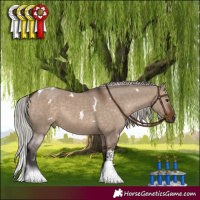 Horse Color:White Spotted Silver Brown Dun Tobiano 