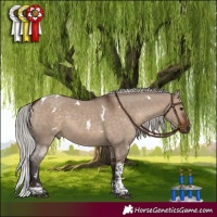 Horse Color:White Spotted Silver Brown Dun Tobiano