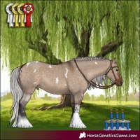 Horse Color:White Spotted Silver Brown Dun Tobiano 
