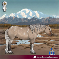Horse Color:White Spotted Silver Brown Dun Tobiano 