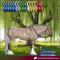 Horse Color:White Spotted Silver Brown Dun Tobiano