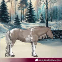 Horse Color:Silver Grullo Tobiano