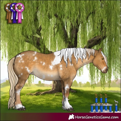 Horse Color:White Spotted Chocolate Palomino Dun Tobiano 