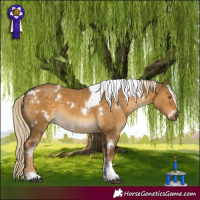 Horse Color:White Spotted Chocolate Palomino Dun Tobiano 