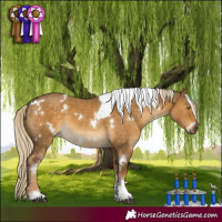 Horse Color:White Spotted Chocolate Palomino Dun Tobiano