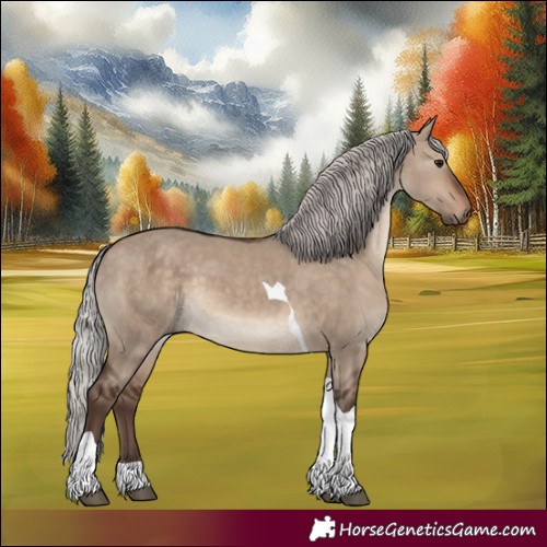 Horse Color:Silver Brown Dun Tobiano 