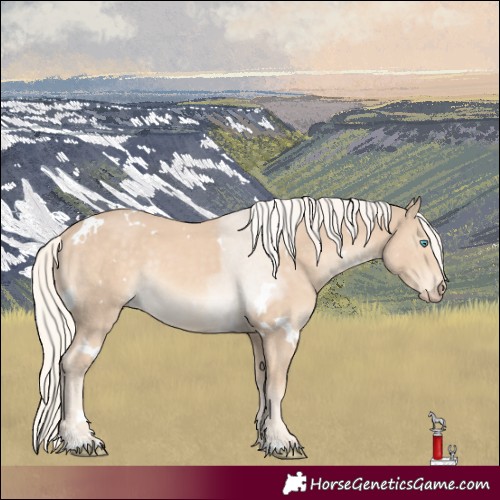 Horse Color:White Spotted Cremello Rabicano 