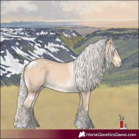Horse Color:White Spotted Cremello Rabicano 