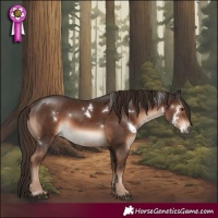 Horse Color:White Spotted Liver Chestnut Rabicano 