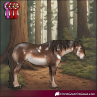 Horse Color:White Spotted Liver Chestnut Rabicano 