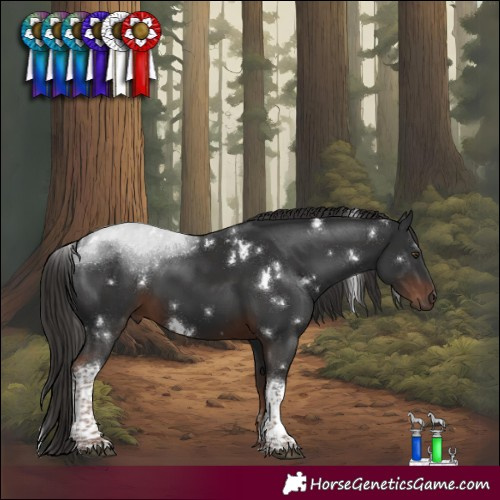 Horse Color:White Spotted Liver Chestnut Tobiano 