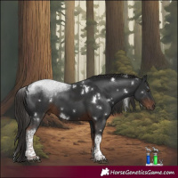 Horse Color:White Spotted Liver Chestnut Tobiano