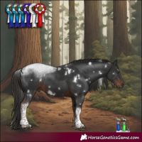 Horse Color:White Spotted Liver Chestnut Tobiano