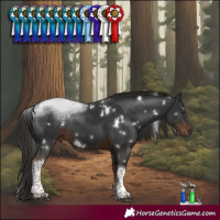 Horse Color:White Spotted Liver Chestnut Tobiano 