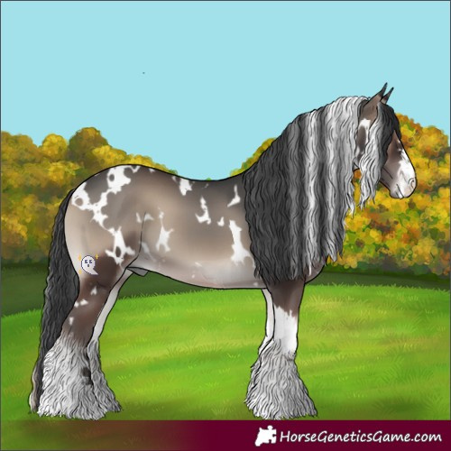 Horse Color:White Spotted Blue Onyx 