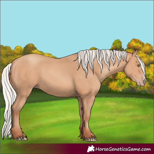 Horse Color:Silver Amber Champagne Frame 