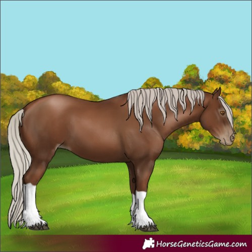 Horse Color:Gray Silver Black Pearl Tobiano