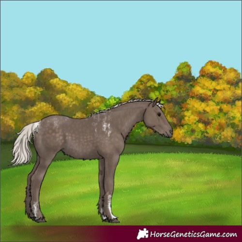 Horse Color:Powder White Silver Black 