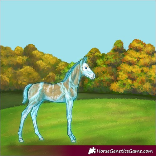Horse Color:Powder White Thunderstruck Silver Bay Dun Splash