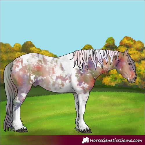 Horse Color:Nacre White Spotted Bay Merle Tobiano