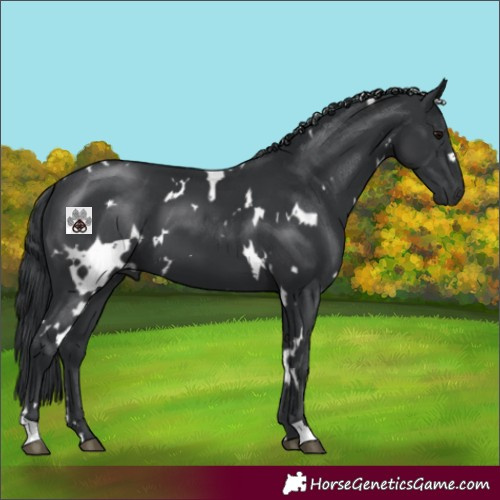Horse Color:White Spotted Black Mushroom 