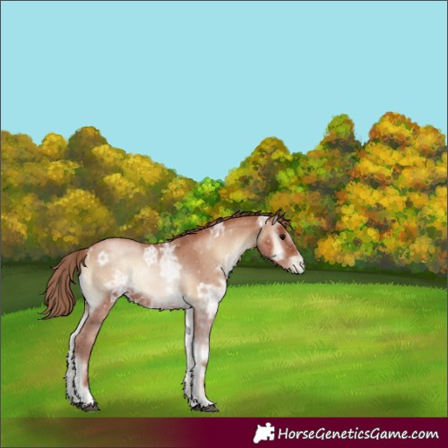 Horse Color:Blue Onyx Ice Pearl 