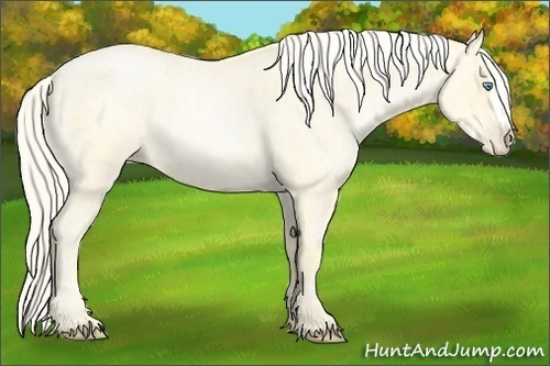 Horse Color:Palomino Roan Pearl and Palomino Roan Pearl Splash