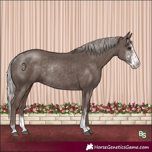 Horse Color:Silver Black Sabino Rabicano 