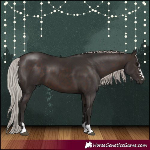 Horse Color:Silver Brown 