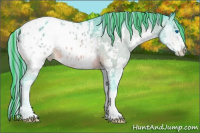 Horse Color:Painted Watercolor Bay Splash Appaloosa 