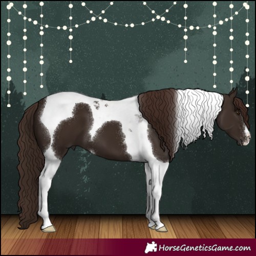 Horse Color:Liver Chestnut Tobiano 