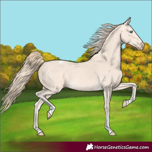 Horse Color:Perlino Tobiano 