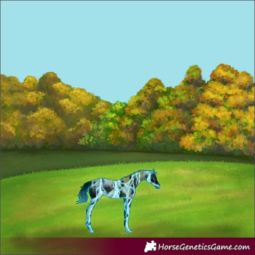 Horse Color:ERROR: UNKNOWN ANOMALY