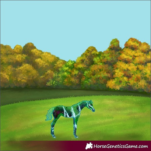 Horse Color:ERROR: UNKNOWN ANOMALY