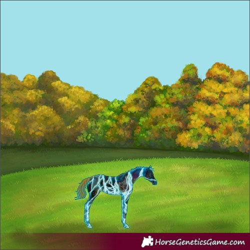 Horse Color:ERROR: UNKNOWN ANOMALY