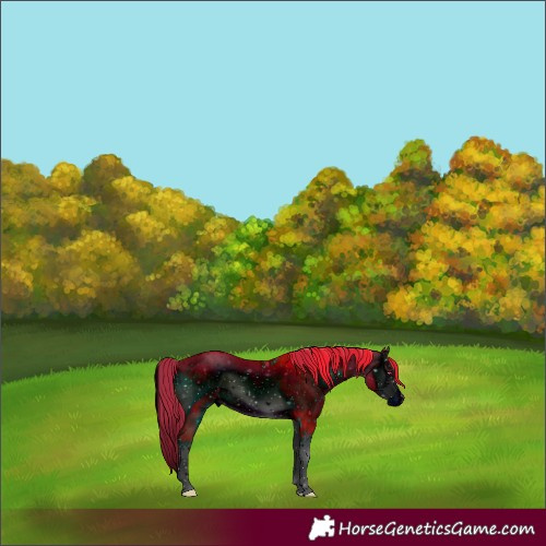 Horse Color:ERROR: UNKNOWN ANOMALY