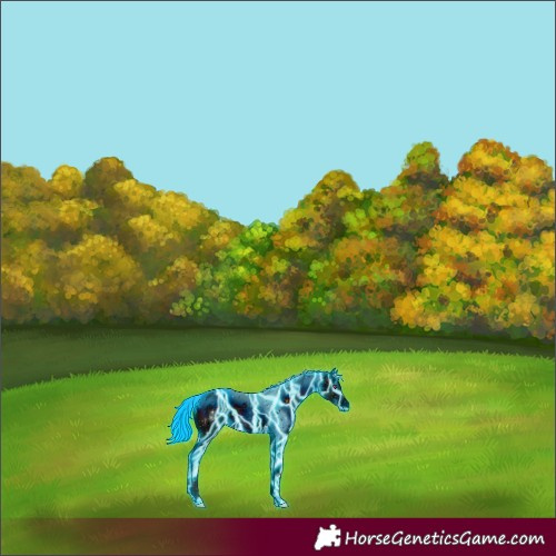 Horse Color:ERROR: UNKNOWN ANOMALY