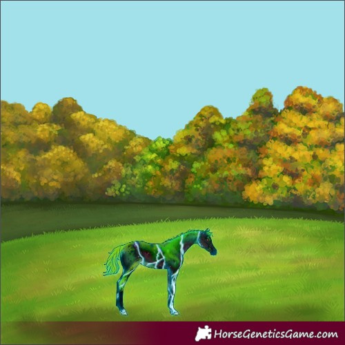 Horse Color:ERROR: UNKNOWN ANOMALY