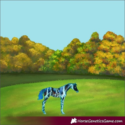 Horse Color:ERROR: UNKNOWN ANOMALY