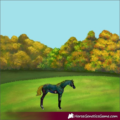 Horse Color:ERROR: UNKNOWN ANOMALY