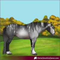 Horse Color:Powder White Gray Brown 