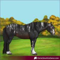 Horse Color:Powder White Gray Brown 