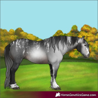 Horse Color:Powder White Gray Brown 