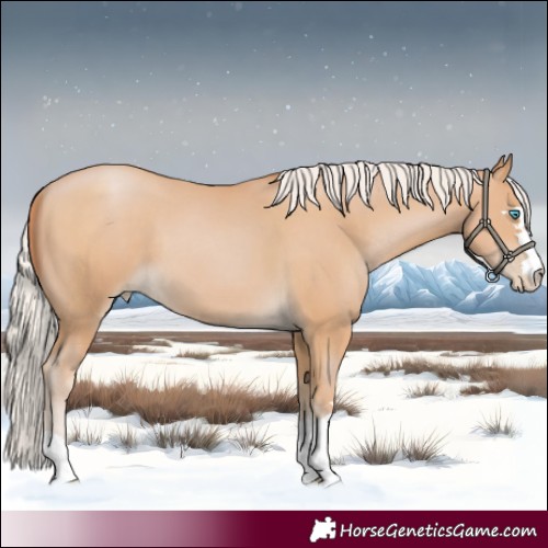 Horse Color:Silver Smoky Black Pearl