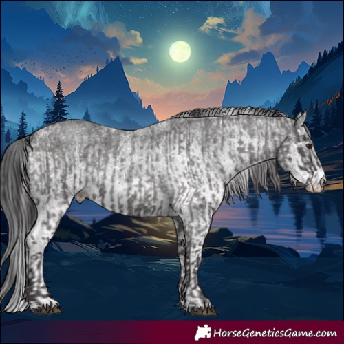 Horse Color:Smoky Blue Roan  and White Spotted Black 
